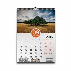 Calendar perete A3